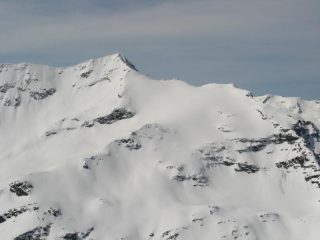 Ormelune