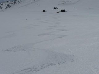 Firn della parte mediana ;-))