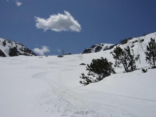che meraviglia di neve