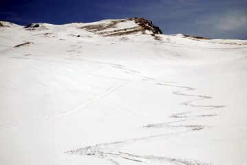 cosa si vuole di più ?