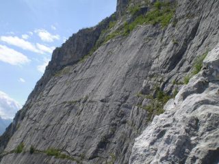 lo scudo visto dalla via