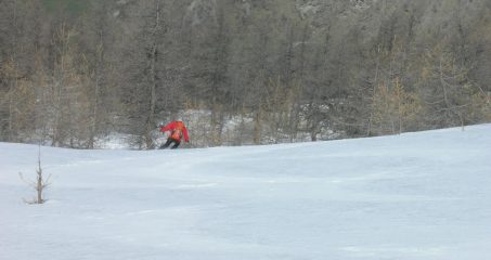 Frrriiiirrride atttuono