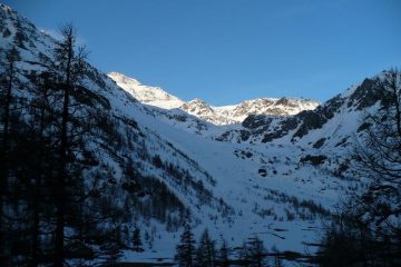 Boshorn alla partenza
