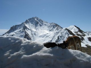 la rognosa dalla punta