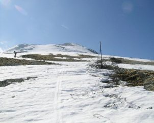 reticolati