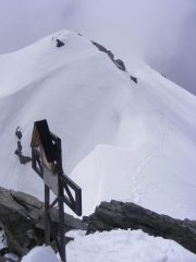 In vetta