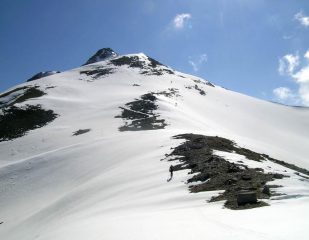 dorsale Testa Autaret