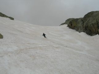 Ale nella parte centrale