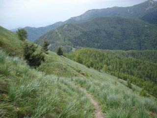 il versante sud ovest del Saccarello