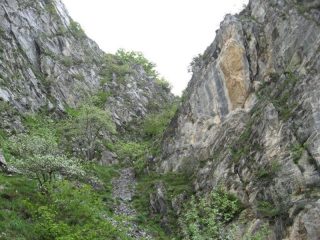 Canalino