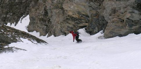 Davide