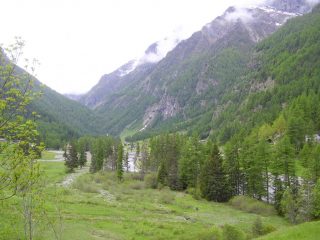 Clavalitè
