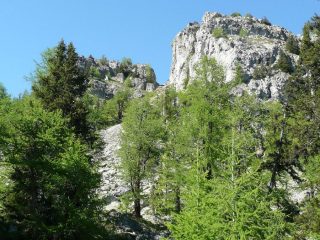 Bocchetta discesa verso sentiero 5A.