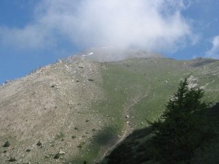 Dal basso