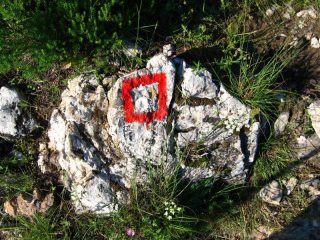 La segnaletica del percorso