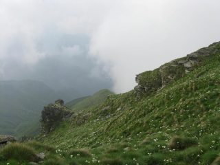 i pendii fioriti prima della vetta