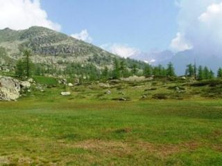 Nei pressi dell'Alpe Pian Muttà