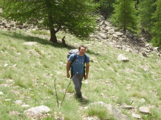 avvicinamento tra i camosci