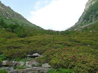 Bocchetta di Vald.