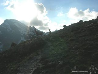 incontri serali verso il Galibier foto m.conti