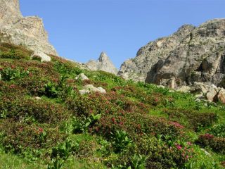 Salendo verso il Lac de La Fous