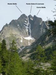monte stella