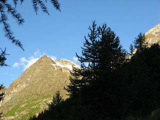 M. Rous all'alba