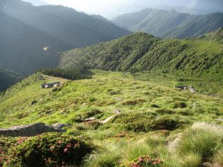 Alpe Colletto (sx) e Oregge (dx) da poco sopra