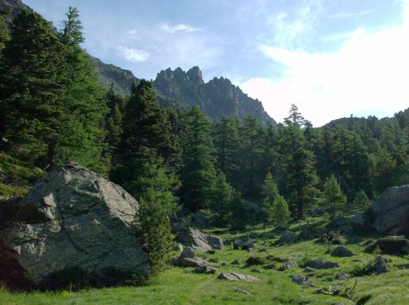 Salendo verso il Passo dei Duc: Costa Ale Lunghe