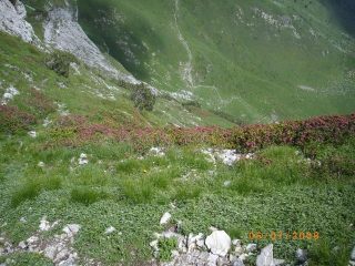 quasi in cima