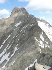 cresta sul dell'argentera dalla vetta