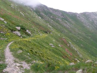 Meraviglioso single track