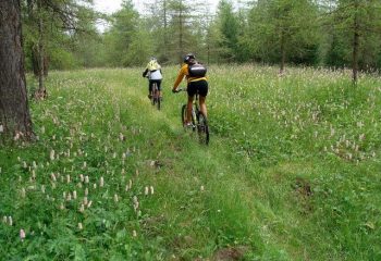 Single track prativo da Tenou