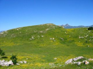 La vetta 