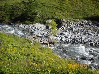 il ponte malridotto