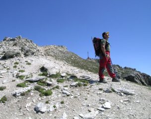 Quasi in cima