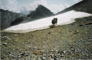 la Baueria dal colle Nubiera