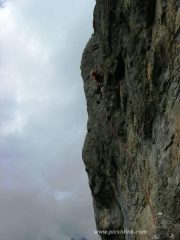 6° tiro da favola foto podina