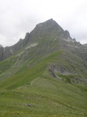 La salia