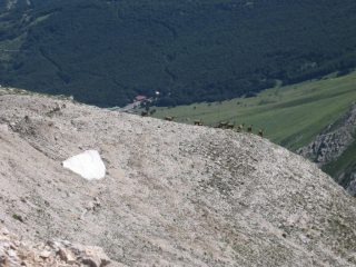 La cima è abitata...