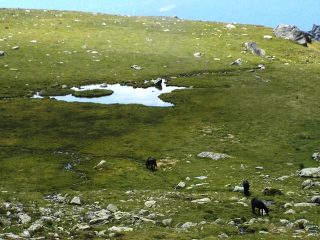 Il piccolo Lago Cibùo lungo l'itinerario