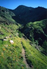 In vista della parete