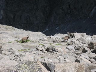 La compagnia di oggi...