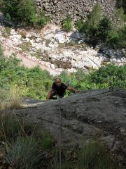 leo in placca