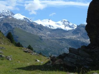 Lyskamm orientale, Punta Gnifetti, Corno Nero, Piramide Vincent....e Leo!