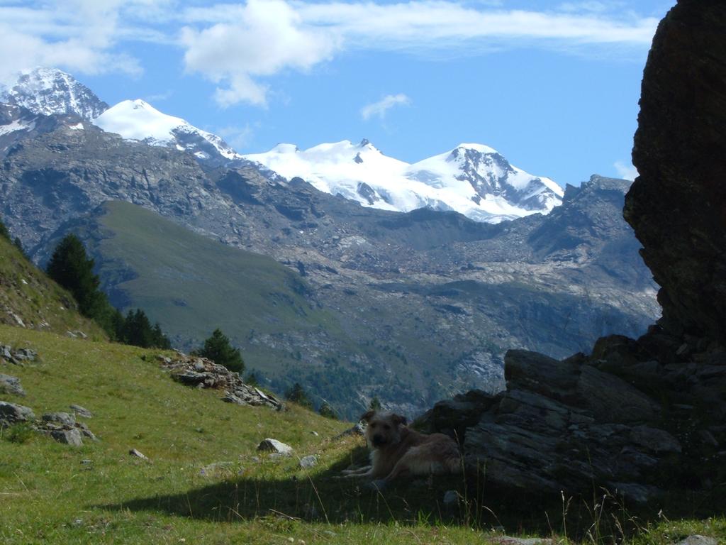 Lyskamm orientale, Punta Gnifetti, Corno Nero, Piramide Vincent....e Leo!
