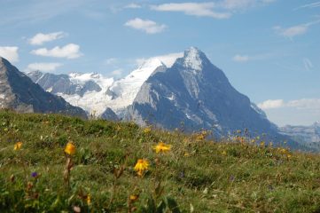 l'eiger e lo jungfrau 
