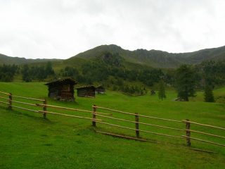 parte mediana