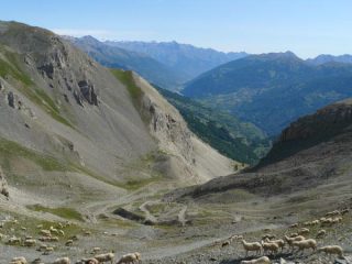 verso Desertes...