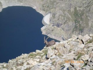 ci godiamo il panorama?!